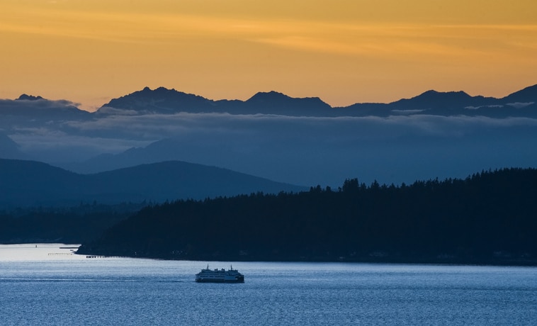 shoreline movers