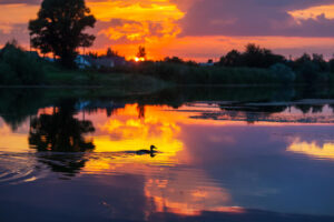 Luther Burbank Park Lake Washington sunset