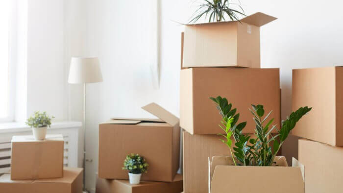 packing and unpacking services Kirkland